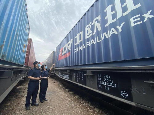 國際海關日 守護國門，全力以赴保障供應鏈穩定高效