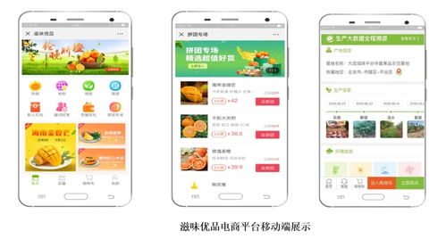 智慧農業(yè)新篇章 1.28億元數(shù)字化服務，守護農產(chǎn)品安全生命線